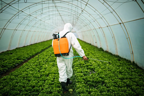 Best Pest Prevention Services  in Martinez, GA