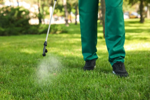 Best Cockroach Control Services  in Martinez, GA