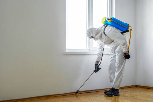 Best Affordable Pest Control Services  in Martinez, GA