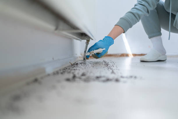 Best Wasp Removal Services  in Martinez, GA