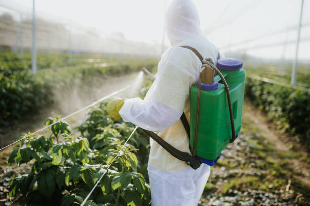 Best Pest Inspection Near Me  in Martinez, GA